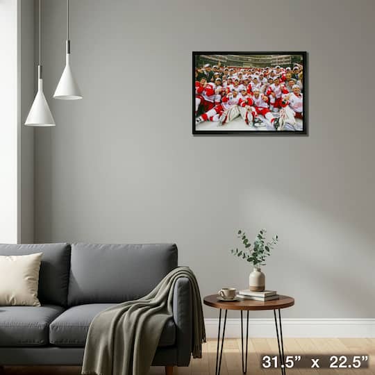 Detroit Red Wings 20" x 29" Framed Canvas 2008 Stanley Cup 31.5" x 22.5"